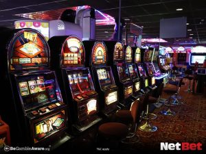 bolopg - Slot Fácil Login